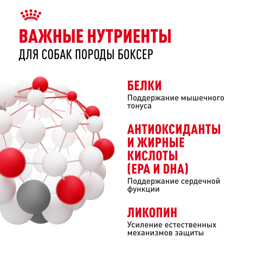 Royal Canin Boxer Adult Боксер Эдалт Корм сухой для взрослых и стареющих собак породы боксер от 15 месяцев 12 кг