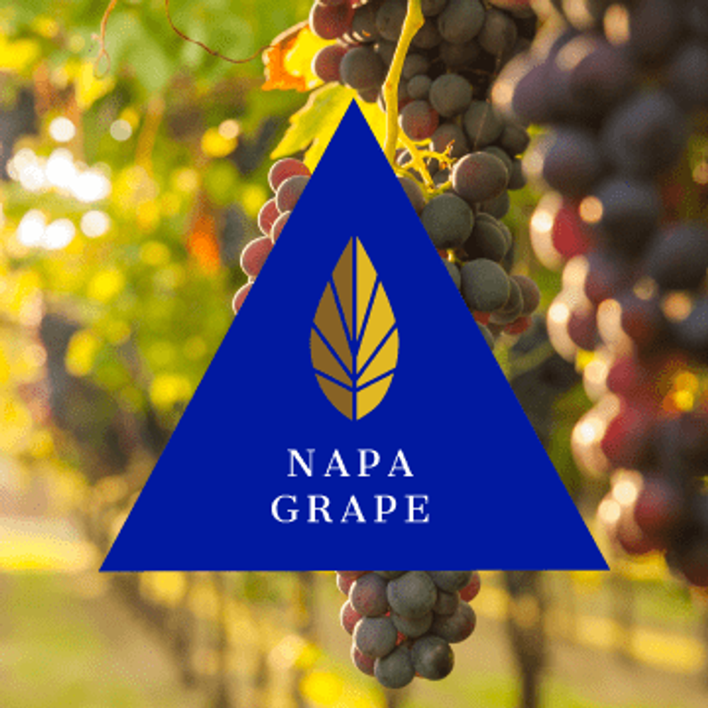 Azure Gold Line - Napa Grape (100g)