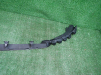 YSCN2342.JPG