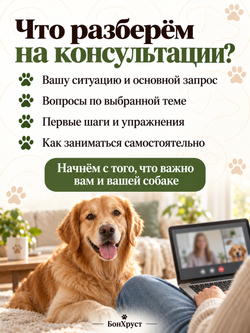 Онлайн-консультация кинолога, 60 минут