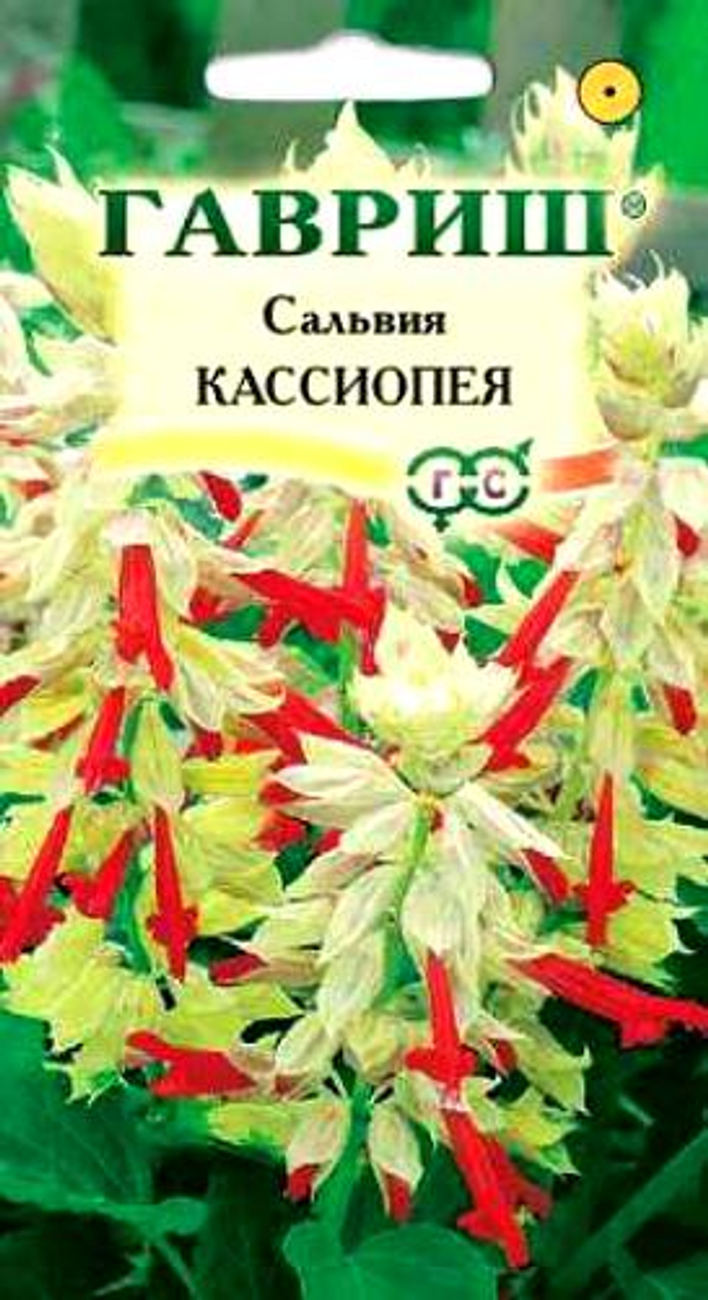 Сальвия Кассиопея 5шт Гавриш