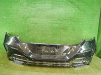 DSCN8585.jpg