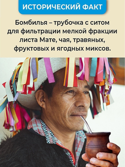 303005 Бомбилья "Классика" 18 см, металл серебристый