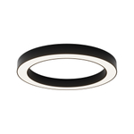 Потолочный светодиодный светильник Maytoni Lua C093CL-45W4K-B