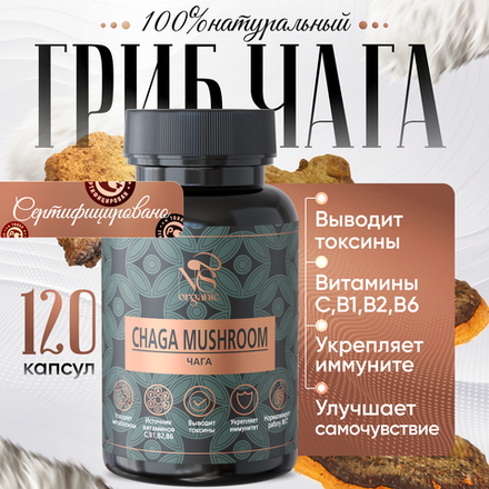 Гриб Чага Березовая, капсулы 120 шт по 500мг