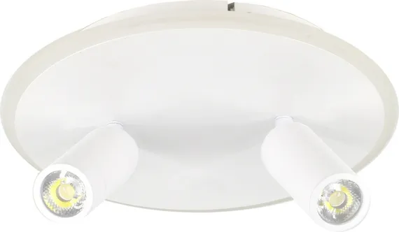 Настенно-потолочный светильник 20046LED 20046SMA/02LED WH Escada