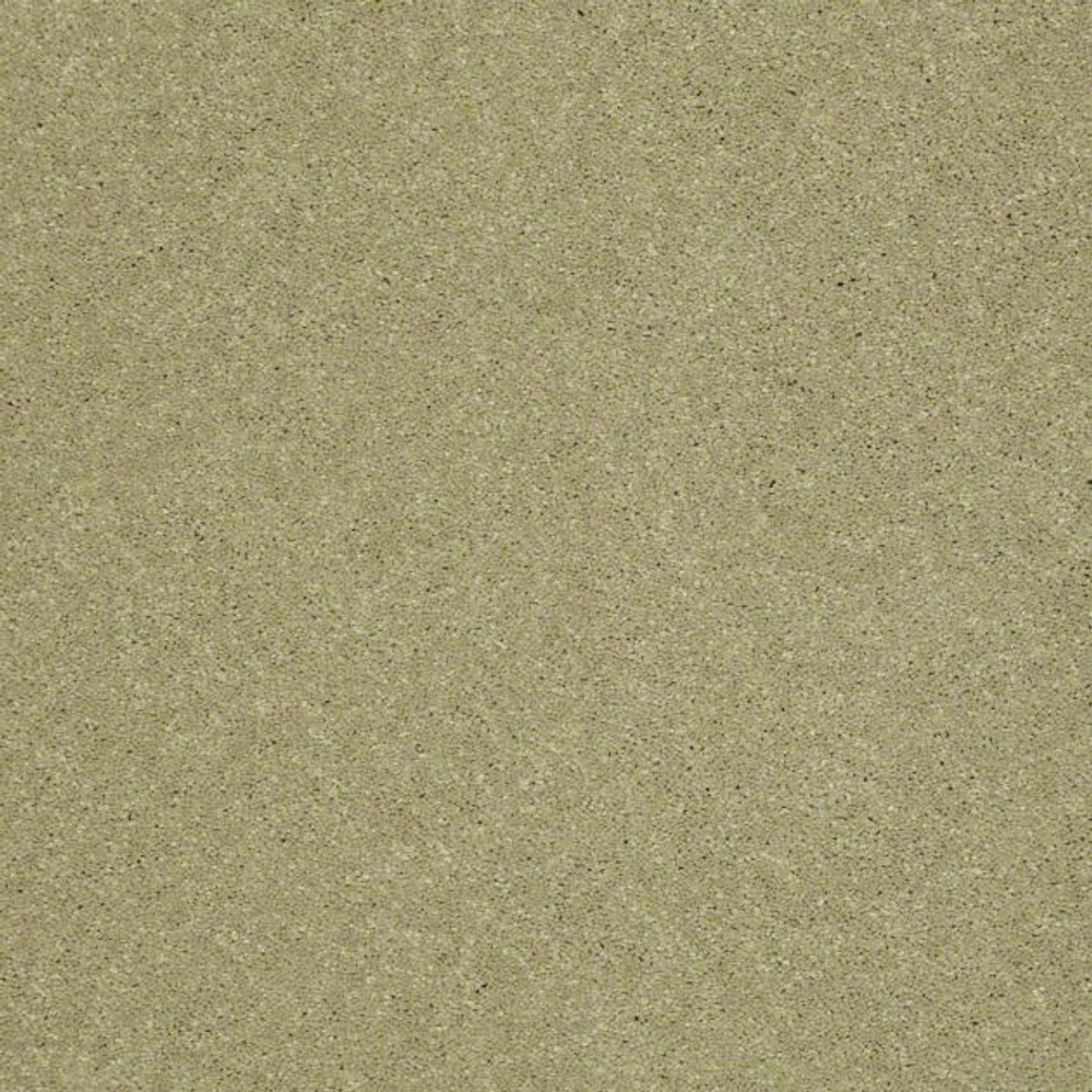 Ковровое покрытие Shaw Floors See the World III 300
