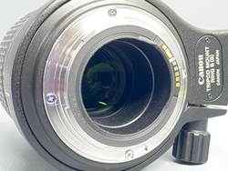 Canon MP-E 65mm 2.8 1-5x Macro Photo