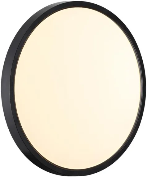 Настенно-потолочный светильник Alfa Black 7660/24L Sonex