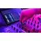 Denon Prime 4 Plus