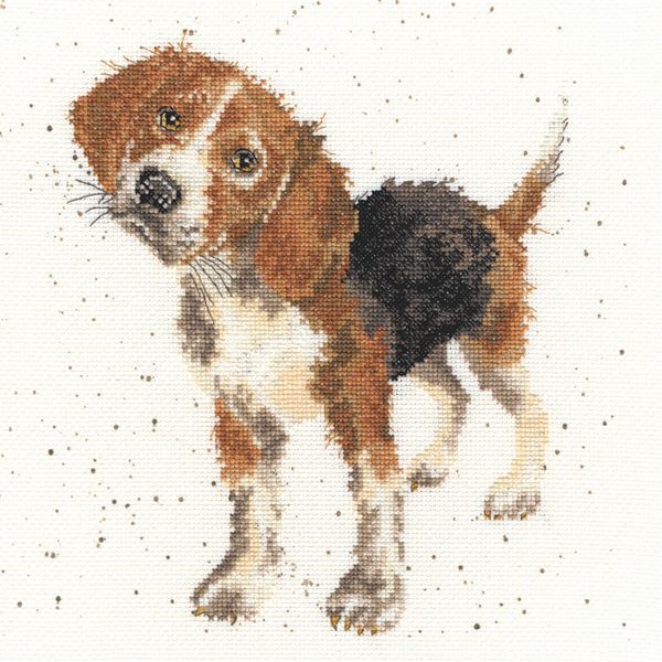 Набор для вышивания нитками Bothy Threads, Beagle (Бигль), 26х26 см