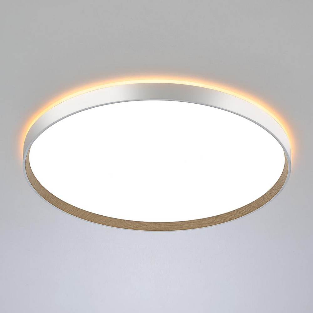 Накладной светильник Citilux ETALON CL750500R