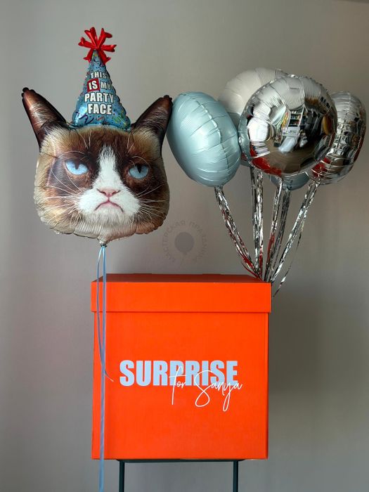 Шары для мужчины, папы