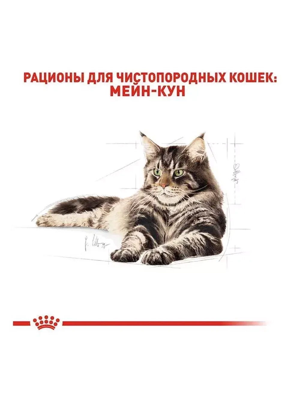 ROYAL CANIN MAINE COON Adult (Роял Канин Мейкун эдалт) корм сухой для кошек Maine Coon 10 кг.