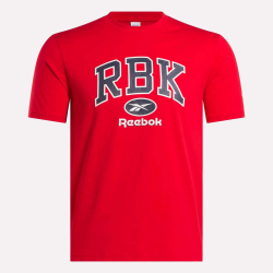 Футболка мужская REEBOK RBK COLLEGIATE T-SHIRT