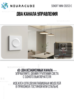 Двухканальный Zigbee выключатель SONOFF MINI-ZB2GS-E (Работает с Алисой, Сбер Салют)