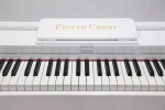 Pierre Cesar DP-12-PH