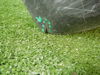 DSCN9433.JPG