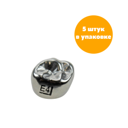 Второй верхний правый моляр, размер 4 (E-UR-4)