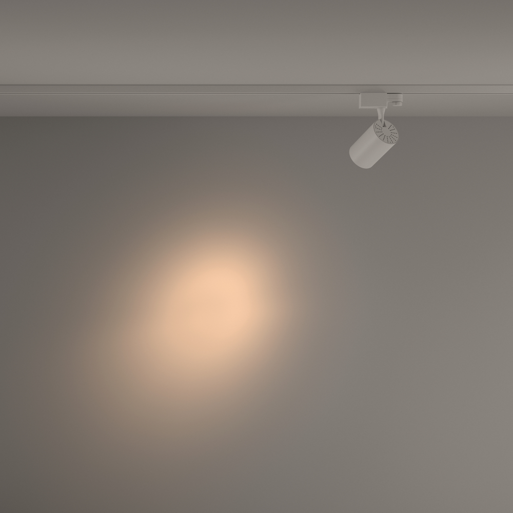 Трековый светильник Technical TR029-3-10W3K-S-W