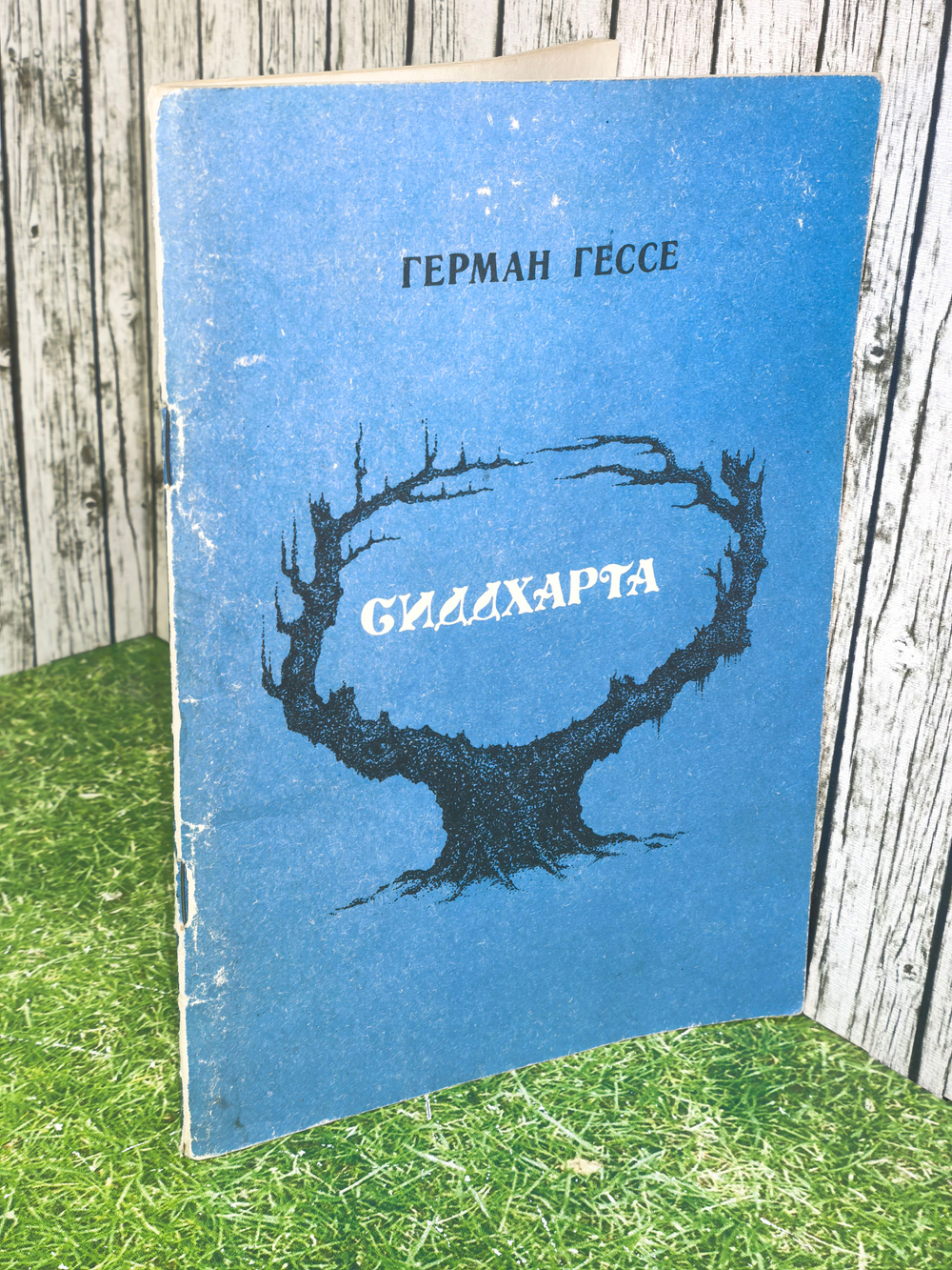 книга "Сиддхарта"