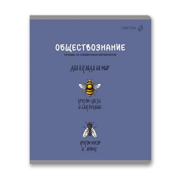 Тетрадь со справочным материалом Большая перемена, выбор.лак, A5 48 л. на скобе 65 г/м², белизна 100% 10 шт клетка, 01820 Большая перемена Обществознание, Светоч Т280
