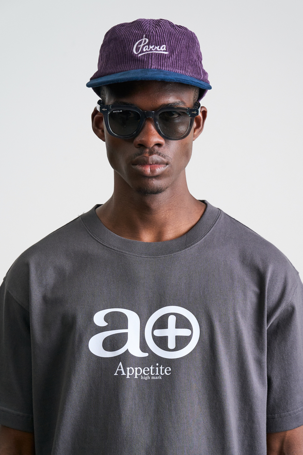 Футболка Appetite High Mark Classic Logo "Metallic Shine"