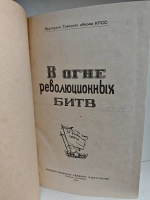 В огне революционных битв