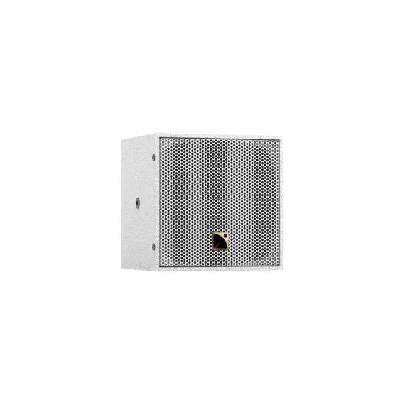 L Acoustics X4iW