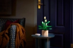 Конструктор LEGO Botanical Collection 11504 Peace Lily