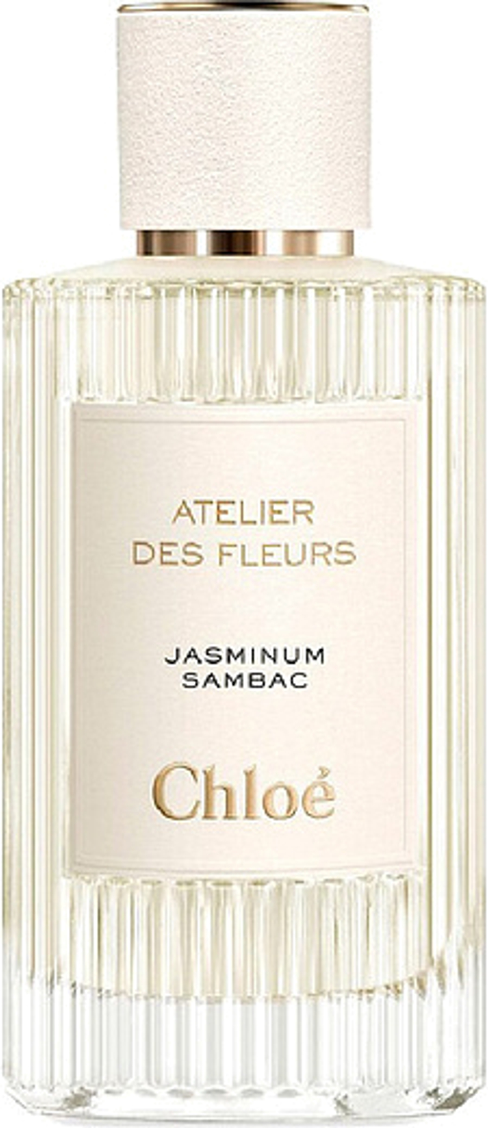 Chloe Atelier Des Fleurs Jasminum Sambac