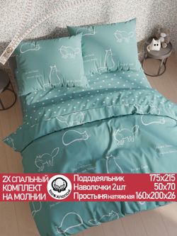 Постельное белье "КОТИКИ (мята)/Nicol" 2-спальный наволочки 50х70 2шт Простынь на резинке 160х200 см Пододеяльник 175х215 см Сказка сатин
