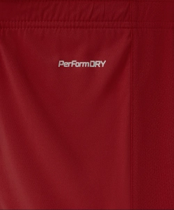 Шорты игровые Jogel DIVISION PerFormDRY Union Shorts, гранатовый 83