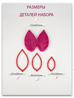 Лист розы XL