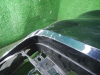 DSCN8491.JPG