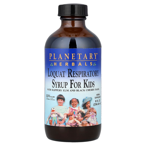 Planetary Herbals, Сироп для детей с мушмулой, 8 жидких унций (236,56 мл)