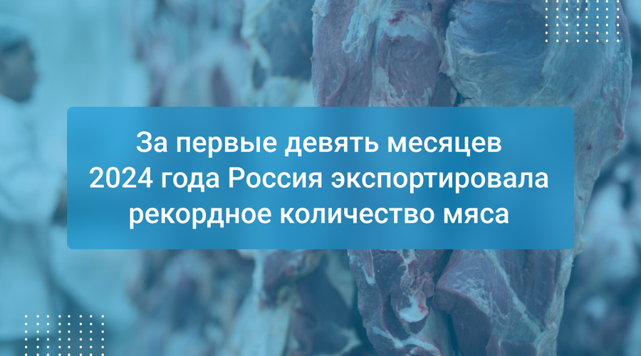 За первые девять месяцев 2024 года Россия экспортировала рекордное количество мяса