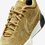Заказать в Москве The Shop x Nike LeBron 21 Nobility