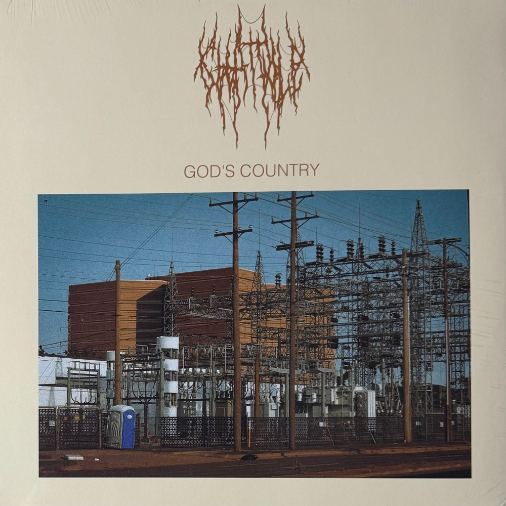 Виниловая пластинка Chat Pile ‎– God’s Country LP