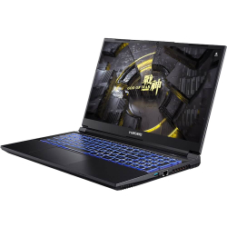 Ноутбук Hasee Z7D6