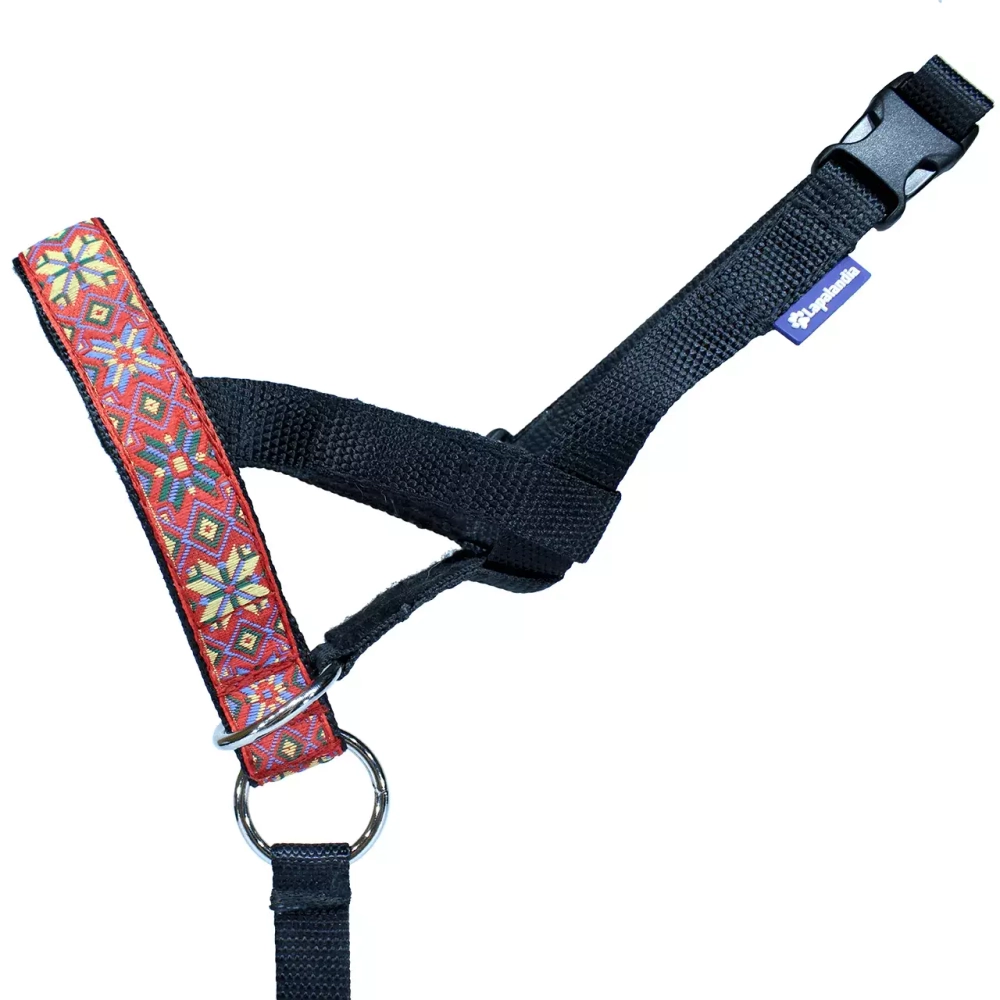 Недоуздок "Поларис" для собак