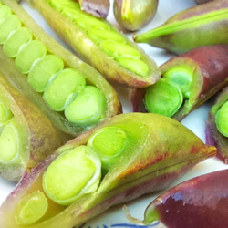 Императорский Чёрный Сахарный Снеп Горох - Imperial Black Sugar Snap Peas