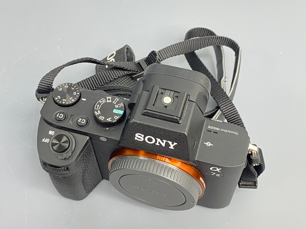 Sony A7 II 25.000 кадров