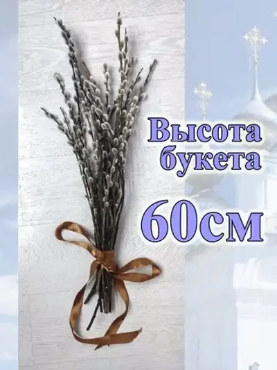 Верба живая Пасхальная букет 60 см