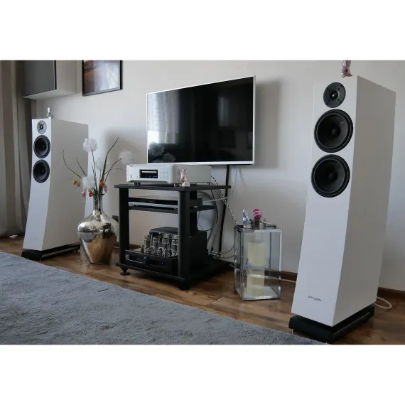 Pylon Audio Jasper 25 MK II active + stereo hub American Walnut