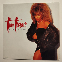 Винтажная виниловая пластинка LP Tina Turner Break Every Rule (Holland 1986)