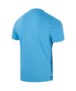 Футболка вратарская DIVISION PerFormDRY SPLASH GK Jersey, голубой