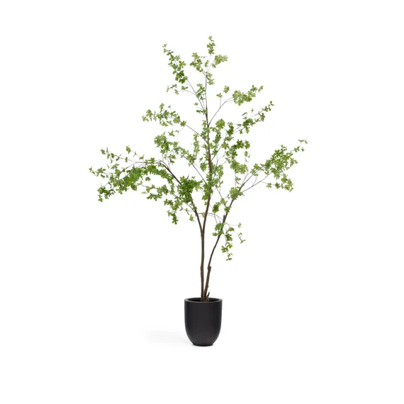 Enkianthus Искусственное дерево с черным горшком 214 см