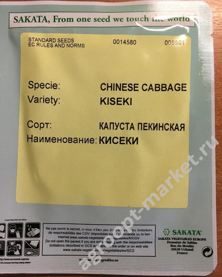 КИСЕКИ F1 семена капусты пекинской (Sakata | Alexagro) – фото 3